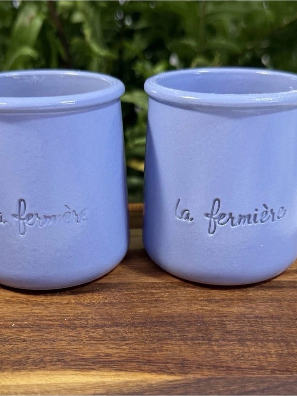 Matching Pair of Periwinkle Blue La Fermiere Terra Cotta Yogurt Pots- Set of 2